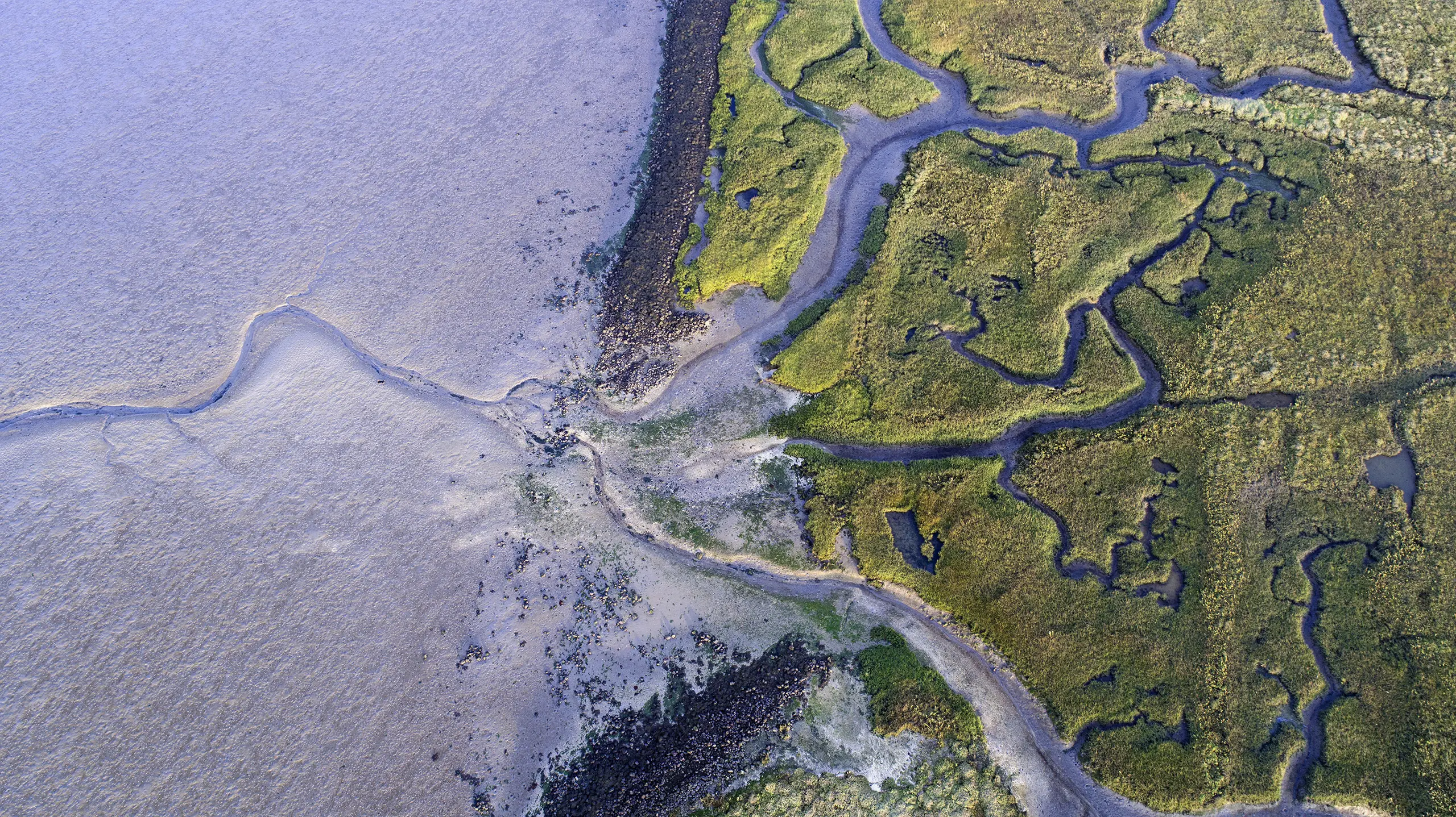 An estuary, with waterways going into land.