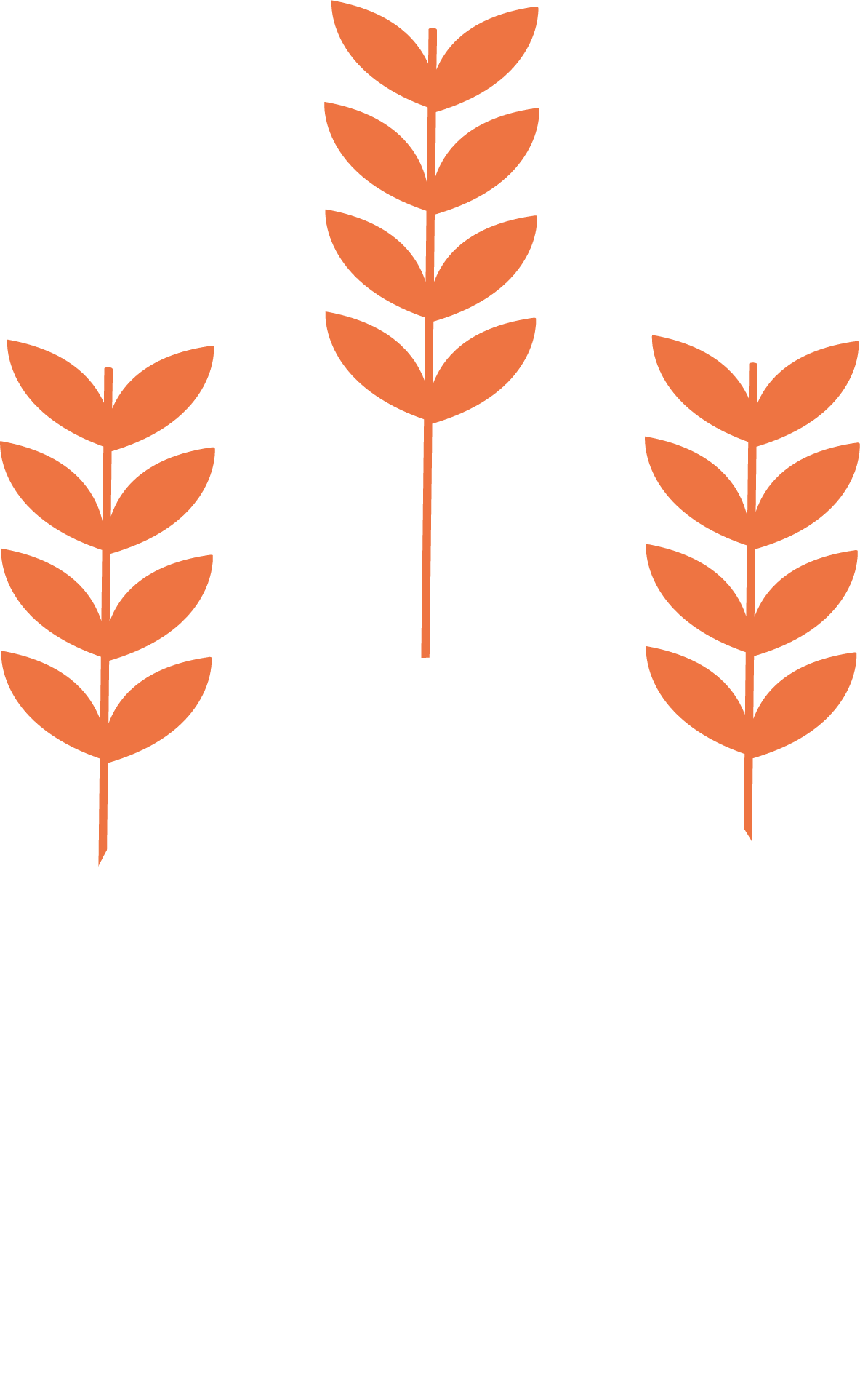 Recent developments in ESG regulation