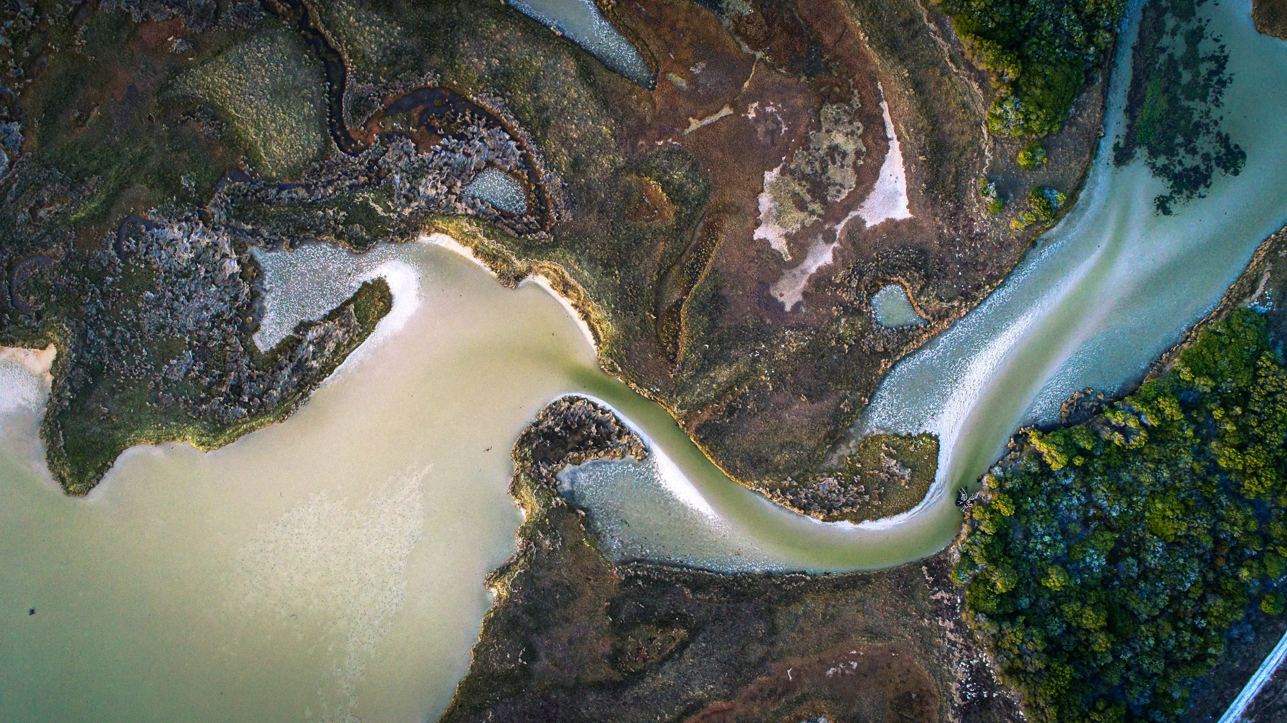 An estuary, with waterways going into land.