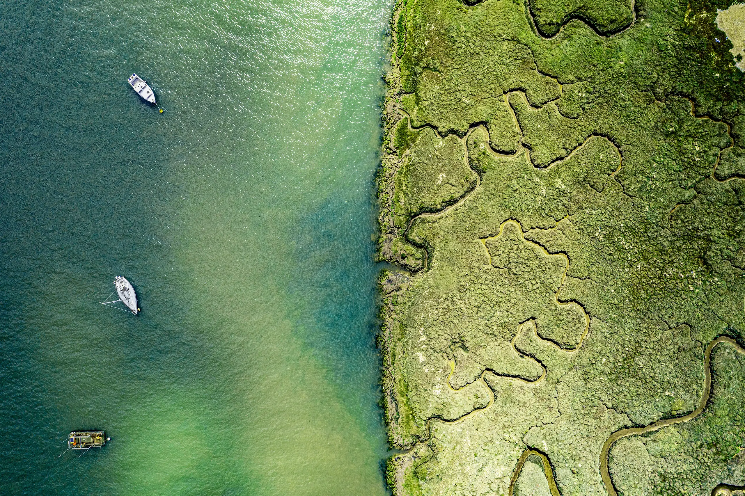 An estuary, with waterways going into land. There are two sail boats in the water.