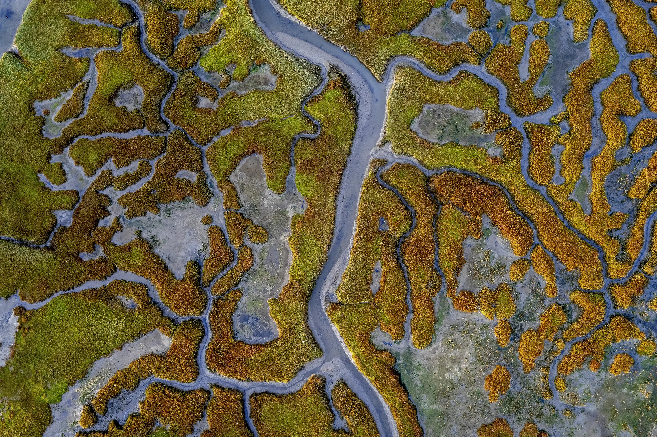 An estuary, with waterways going into land.